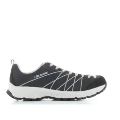 ANDE -  TREKKING ASPEN FOREST-LIME
