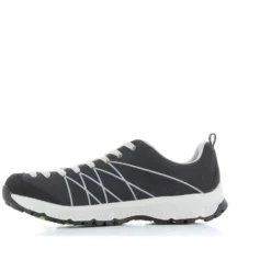 ANDE -  TREKKING ASPEN FOREST-LIME
