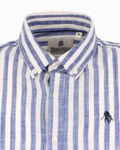BLUE LEMON - Camicia manica lunga riga grande azzurra misto lino botton down
