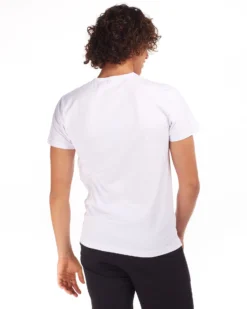 UOMO TSHIRT MEZZA MANICA